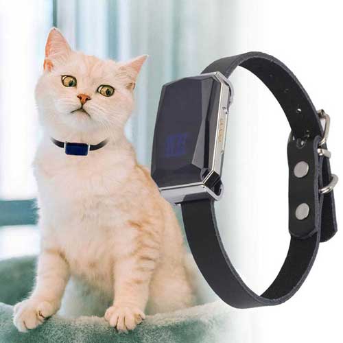 gps lokator za kocke